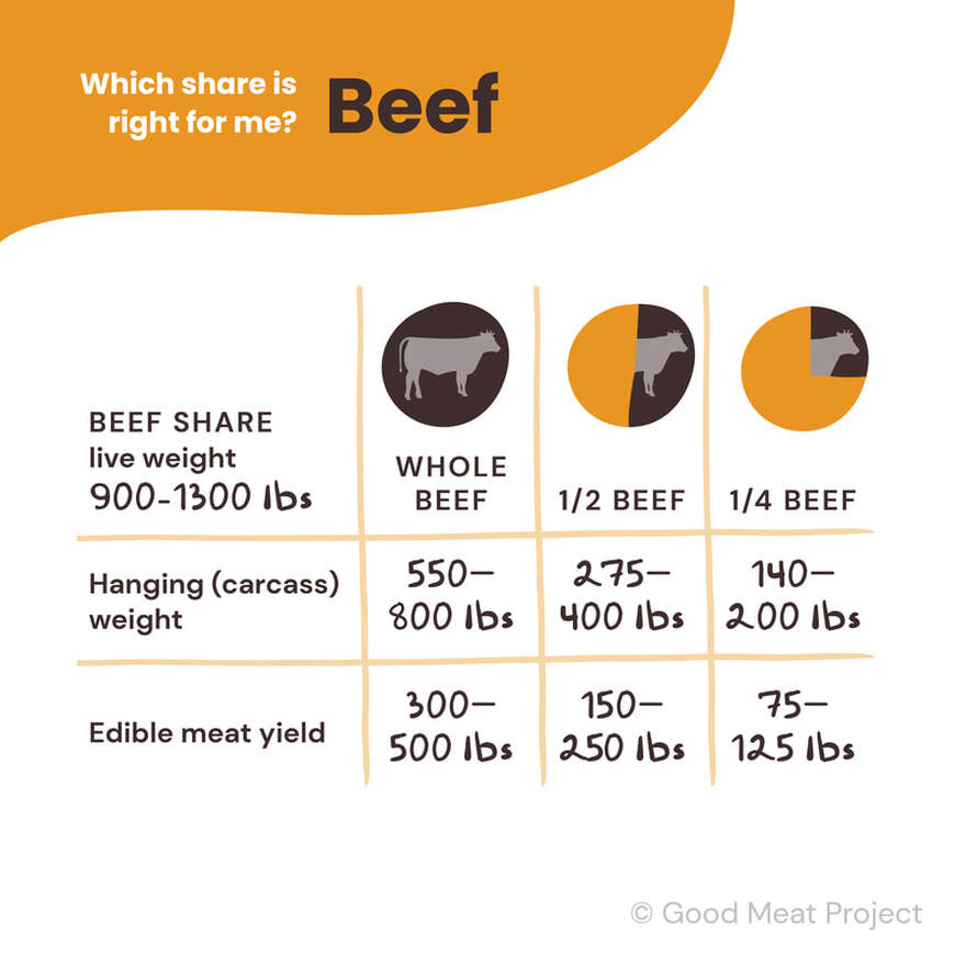 Which beef share is right for me?