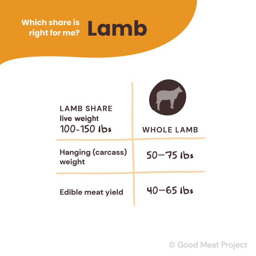 Which lamb share is right for me?